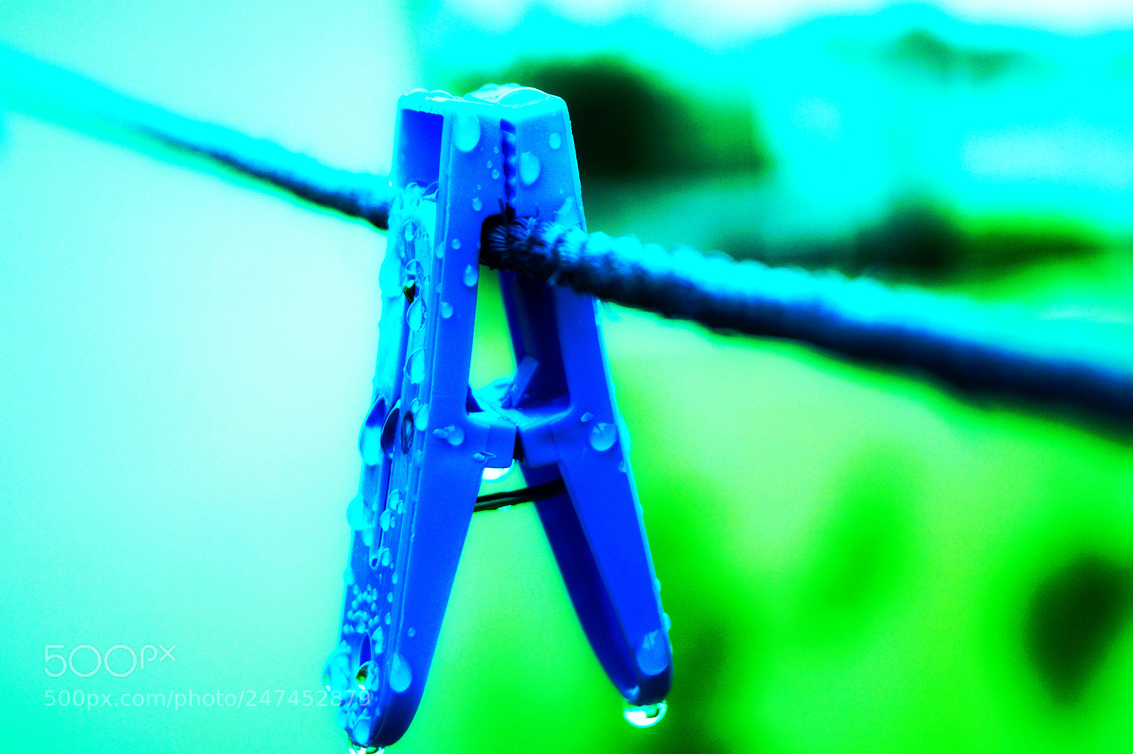 Sony SLT-A58 sample photo. Untitled photography