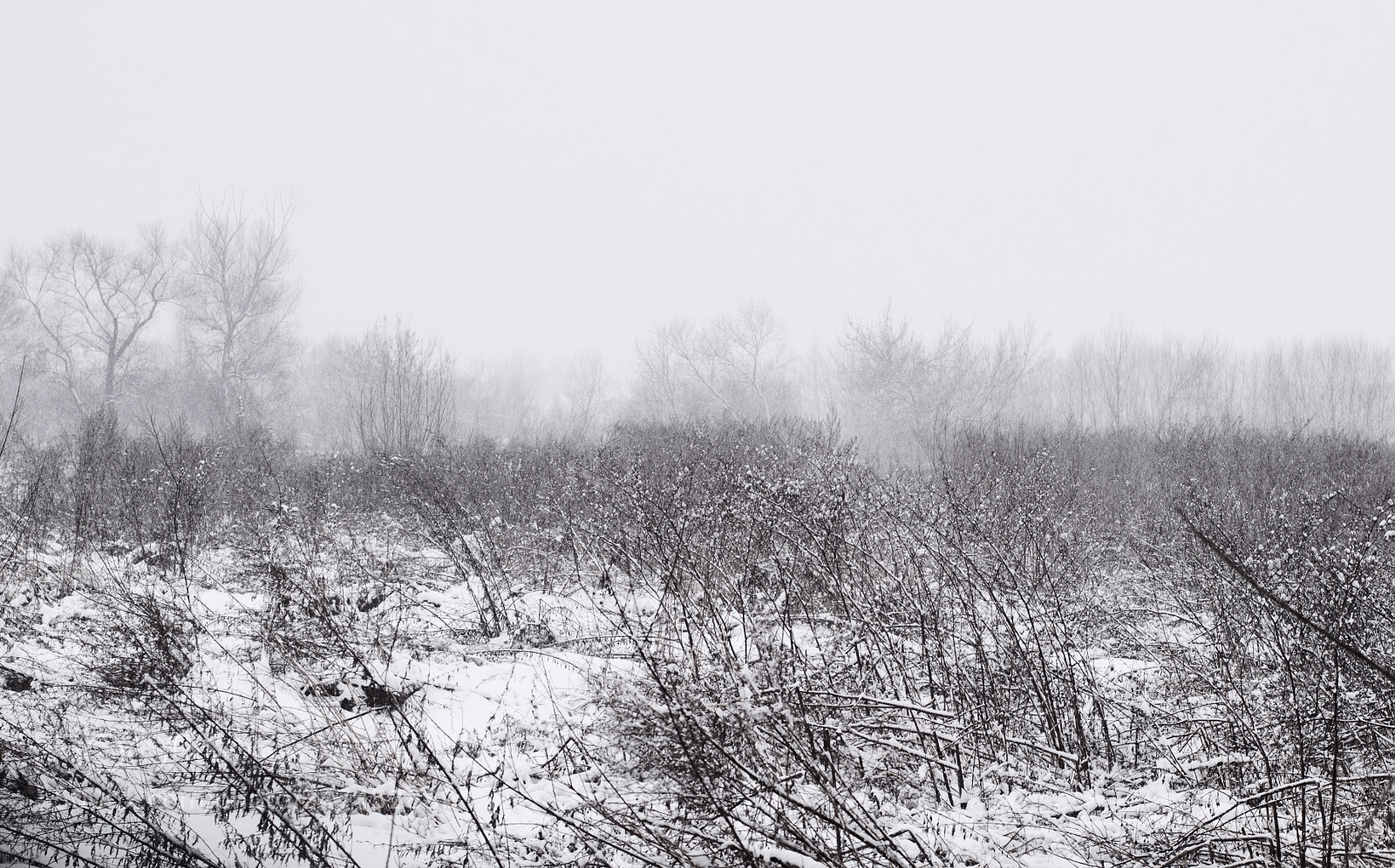 Nikon D5000 sample photo. Winter photography