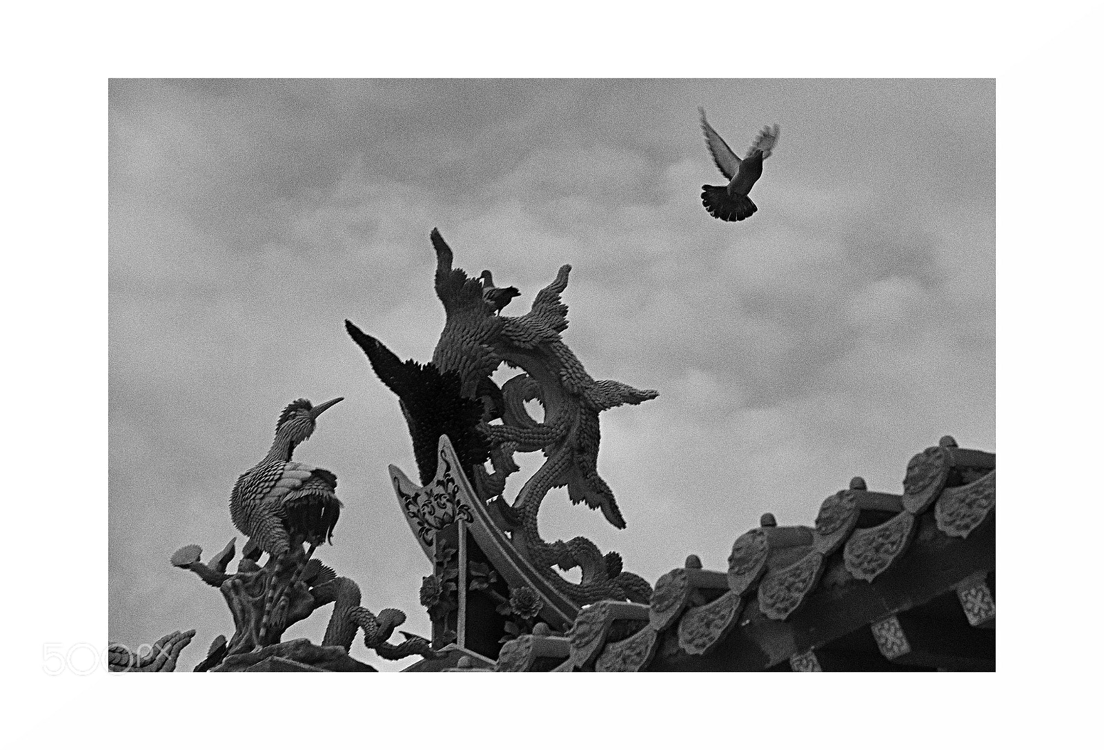 Sony Alpha DSLR-A300 sample photo. Flight man made god photography