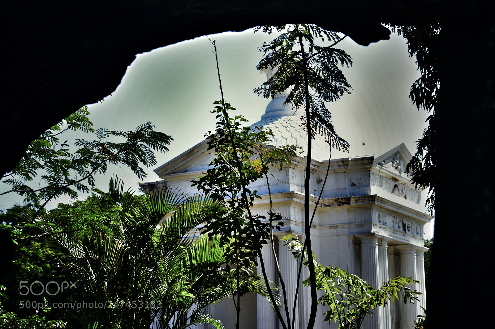 Nikon D3200 sample photo. Untitled photography