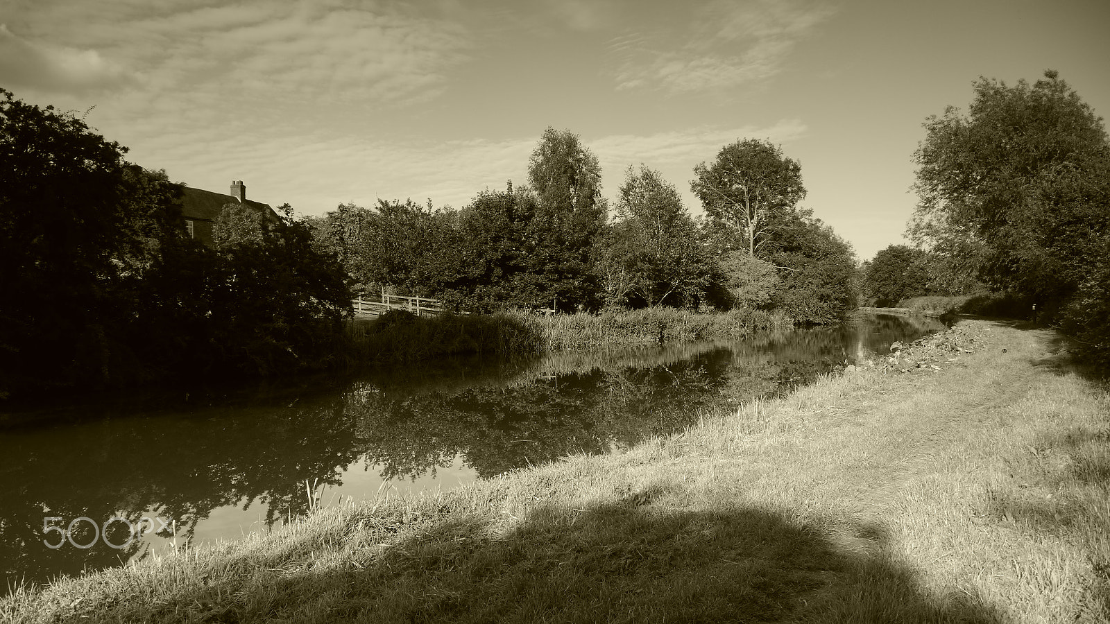 Panasonic Lumix DMC-GH2 sample photo. P photography
