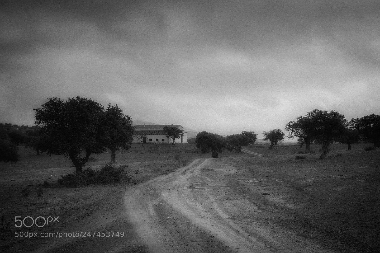 Canon EOS 50D sample photo. De camino a casa photography