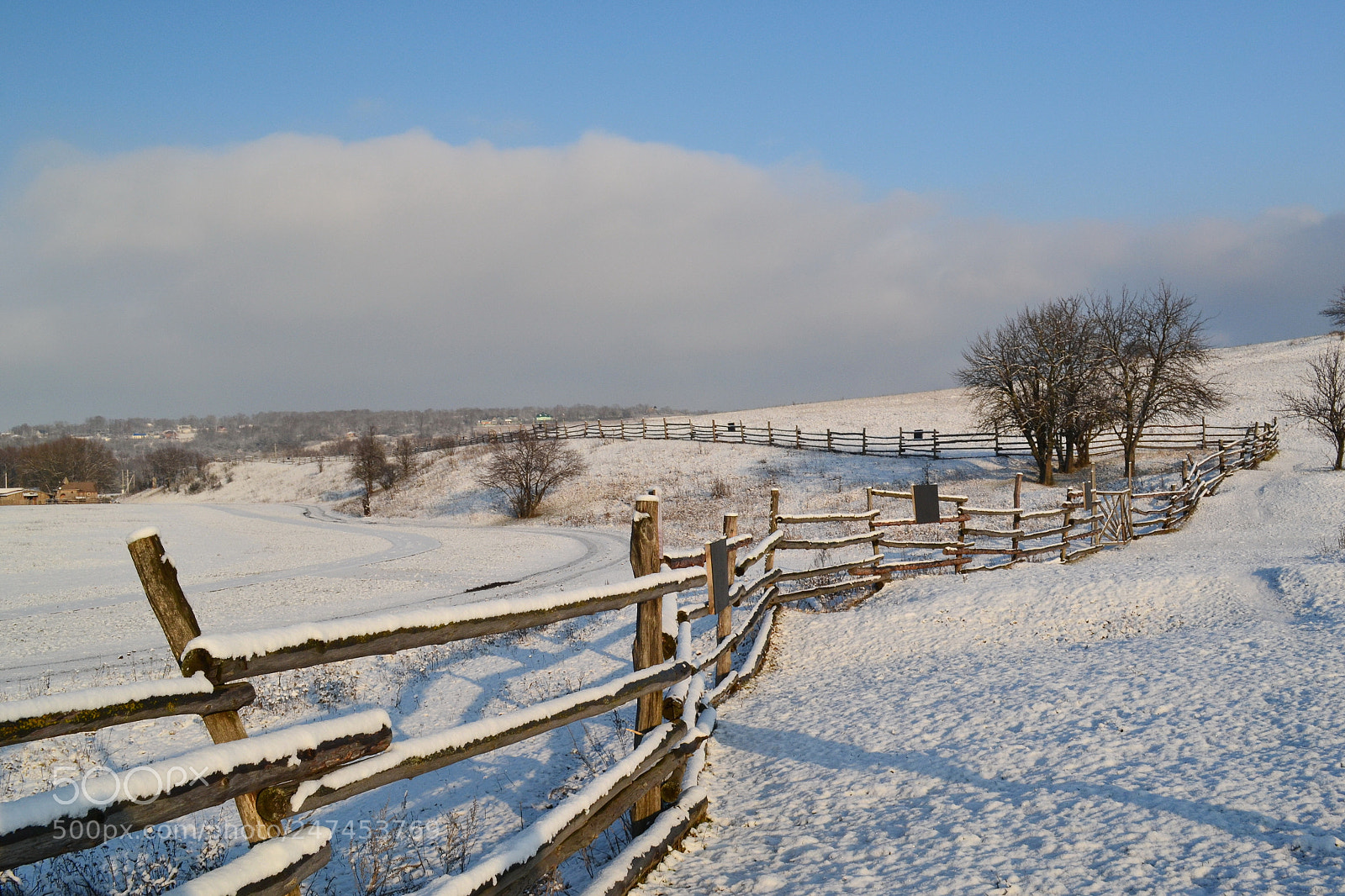 Nikon D3100 sample photo. *** photography