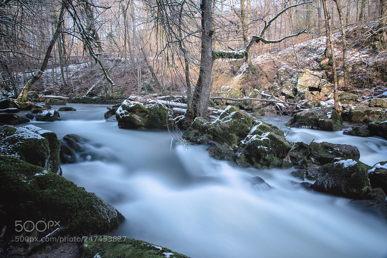 Sony ILCA-77M2 sample photo. Cold trip ii photography