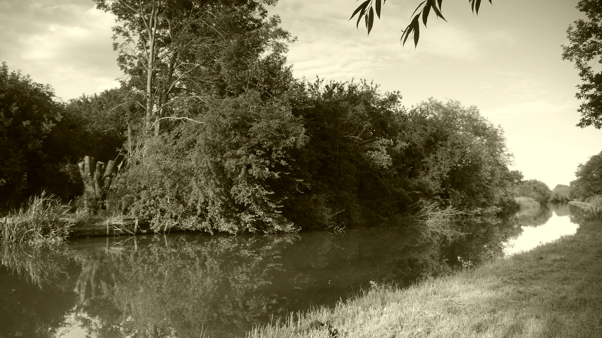 Panasonic Lumix DMC-GH2 sample photo. P photography