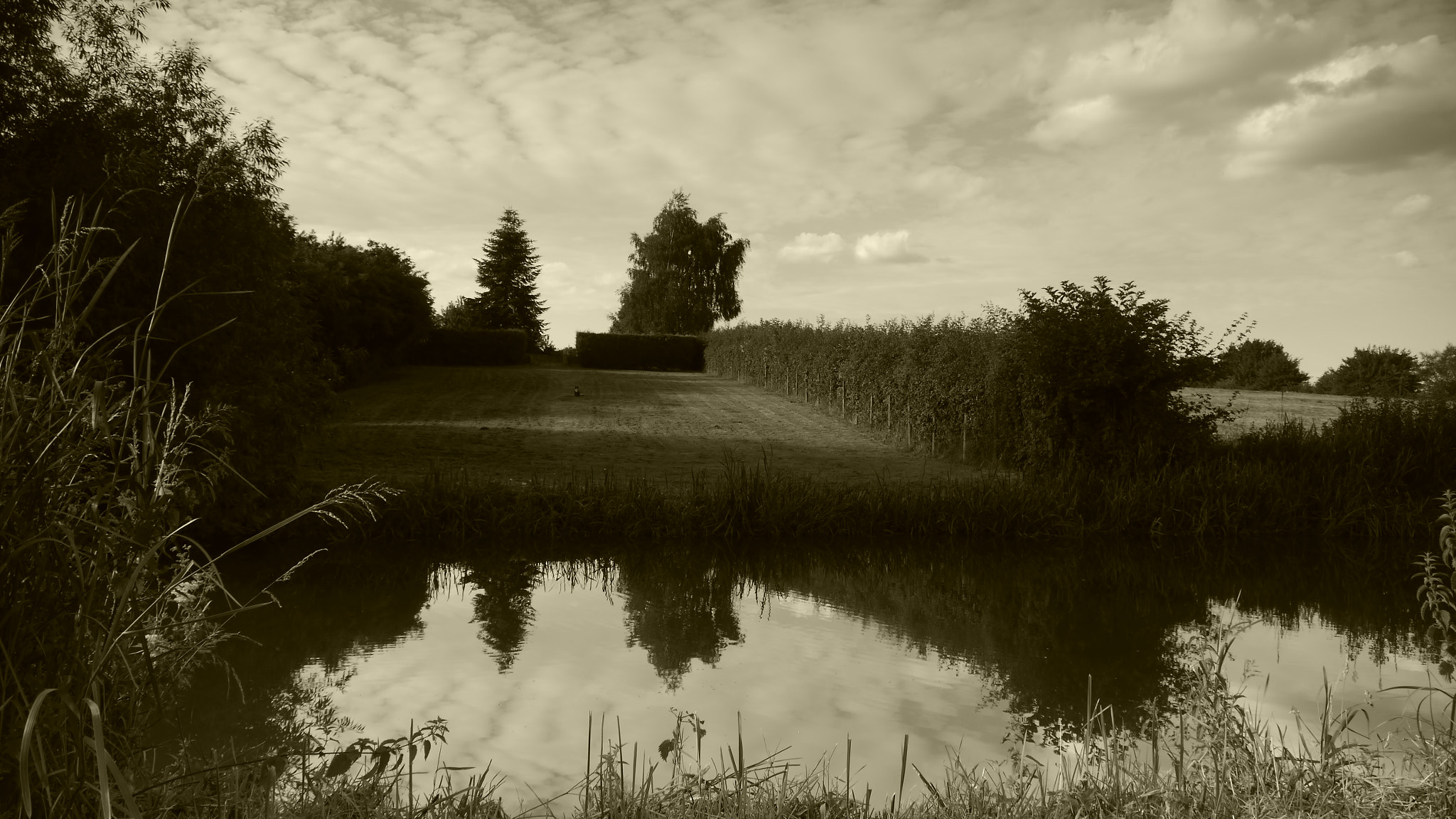 Panasonic Lumix DMC-GH2 sample photo. P photography