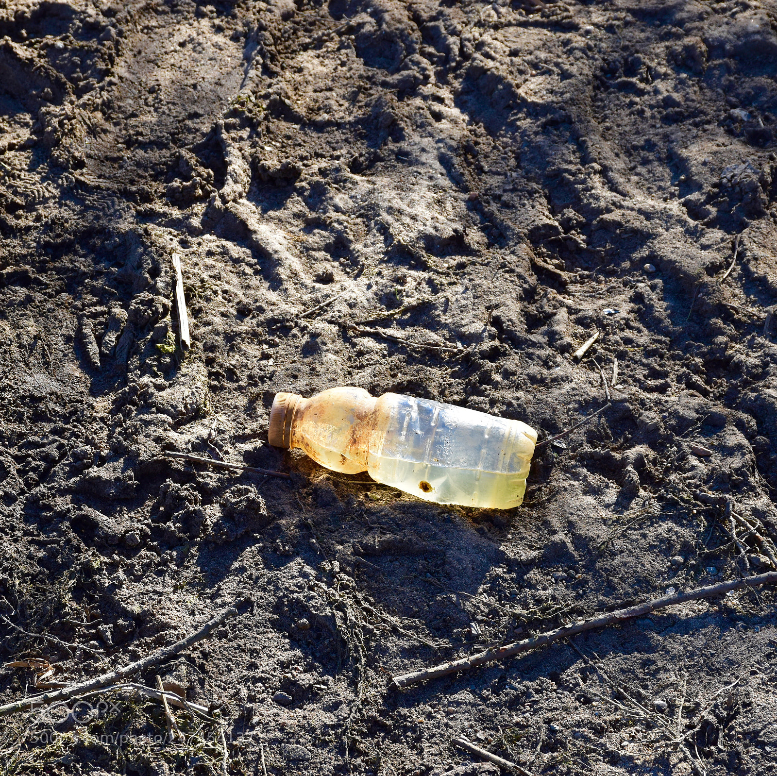 Nikon D5600 sample photo. Bottle in the field photography