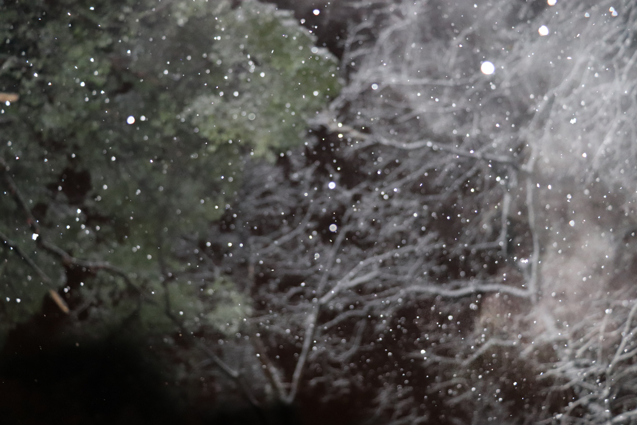 Canon EOS 800D (EOS Rebel T7i / EOS Kiss X9i) sample photo. A night with snow in hangzhou photography