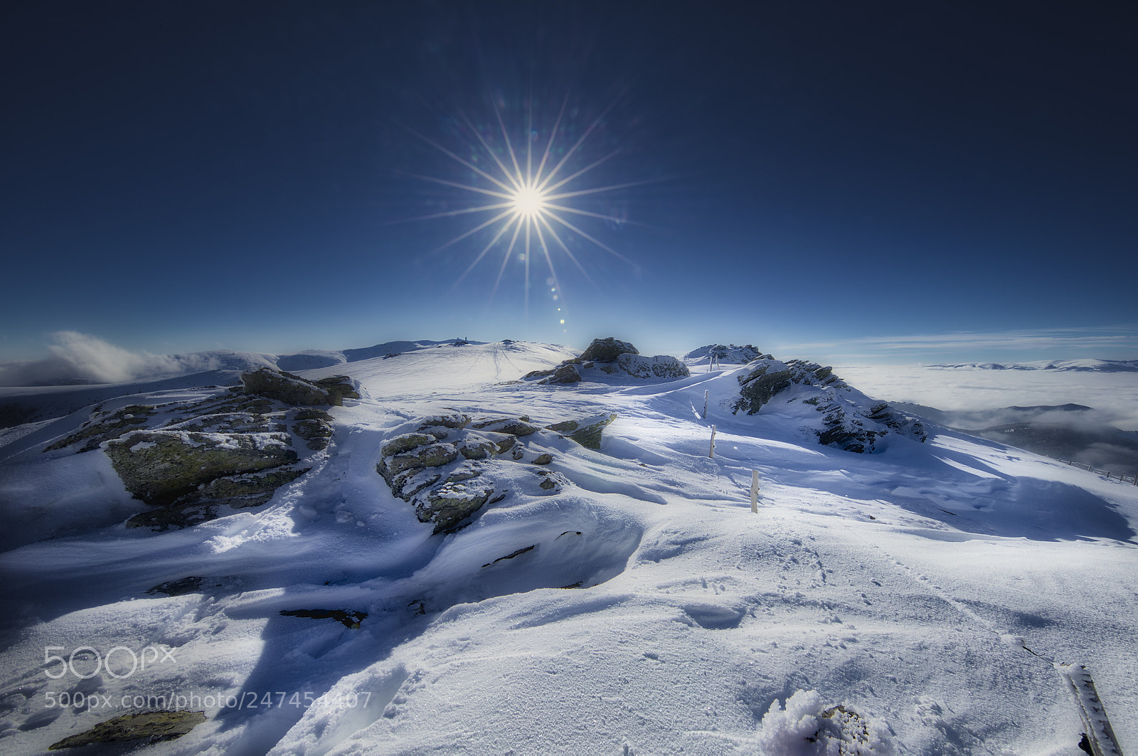 Canon EOS-1D X sample photo. Winterwonderland photography