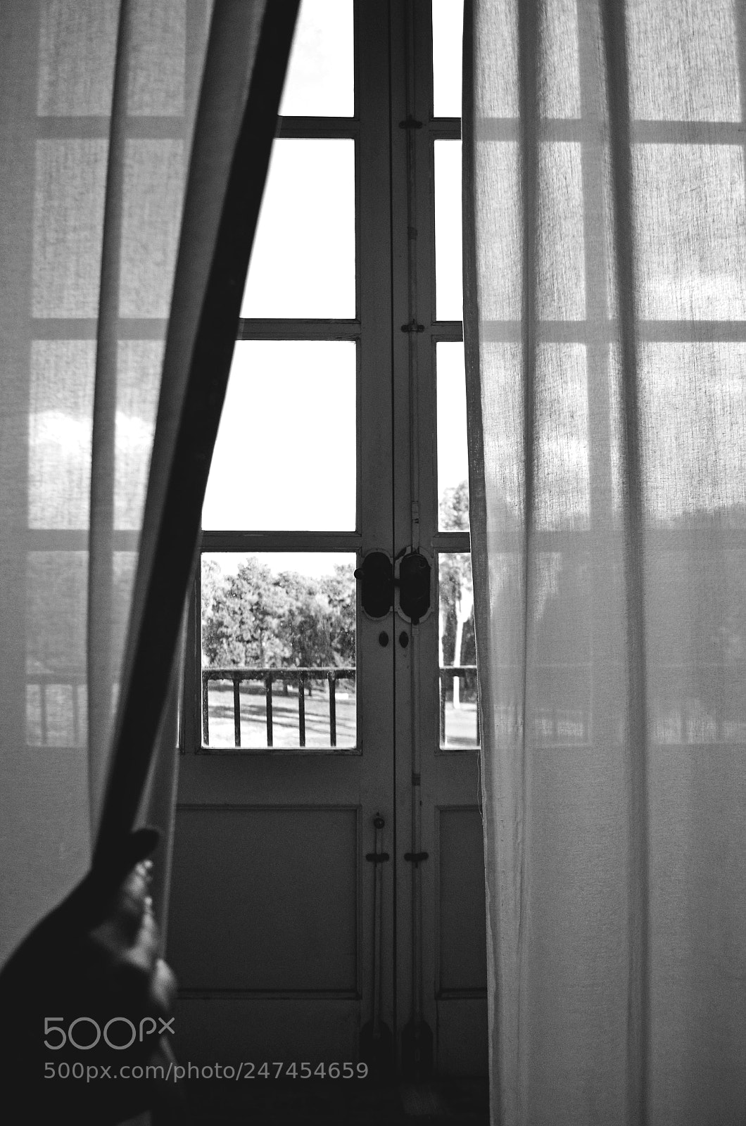 Nikon D5100 sample photo. Exploring the palace photography