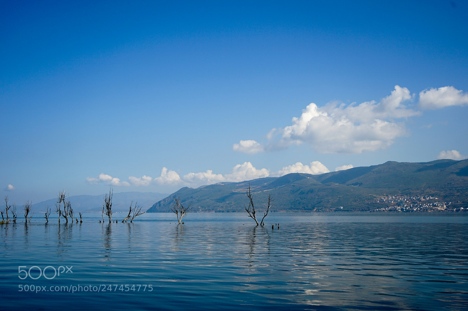 Sony a7 II sample photo. Erhai lake photography