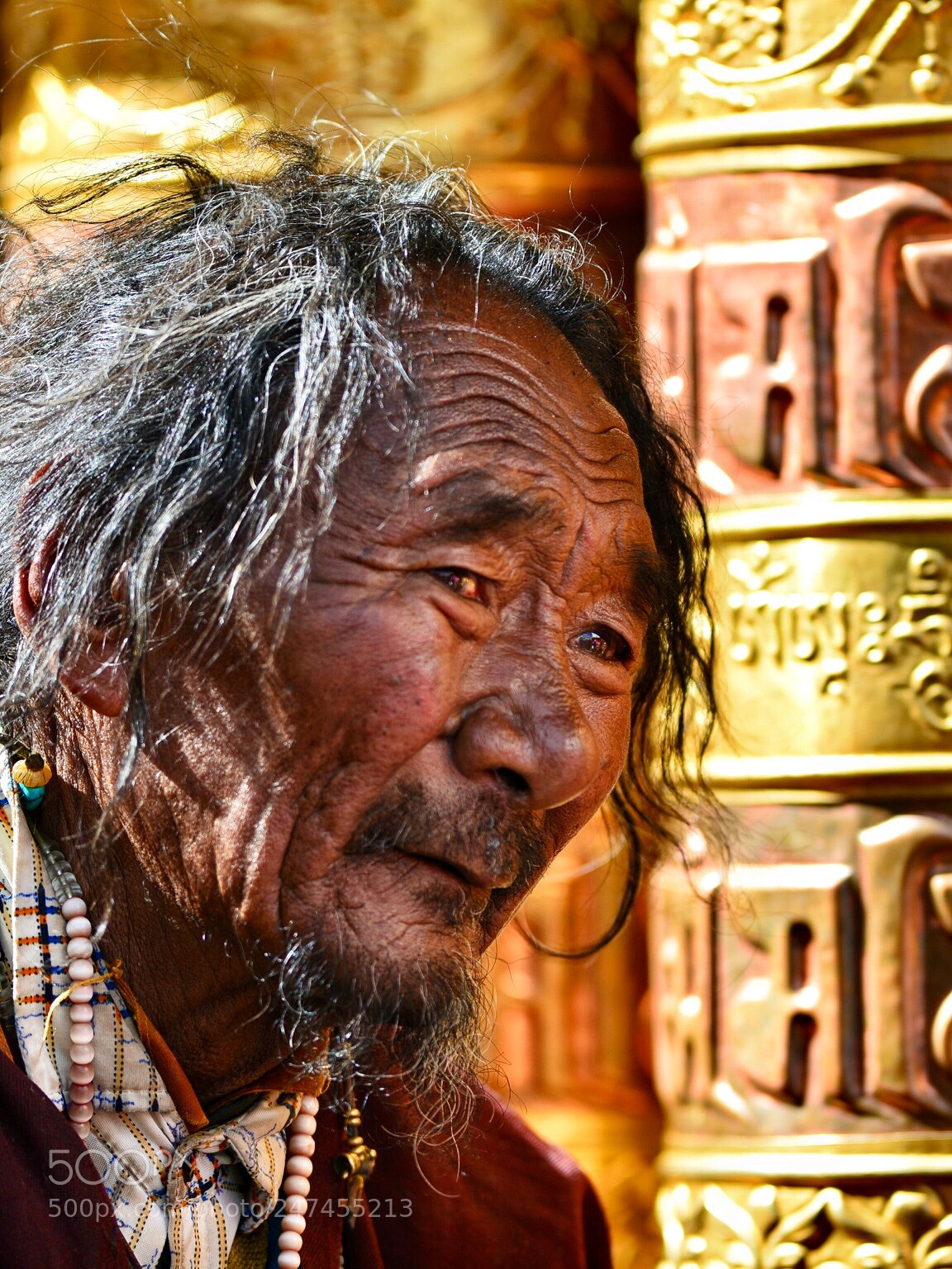 Nikon D800E sample photo. Devout disciple photography