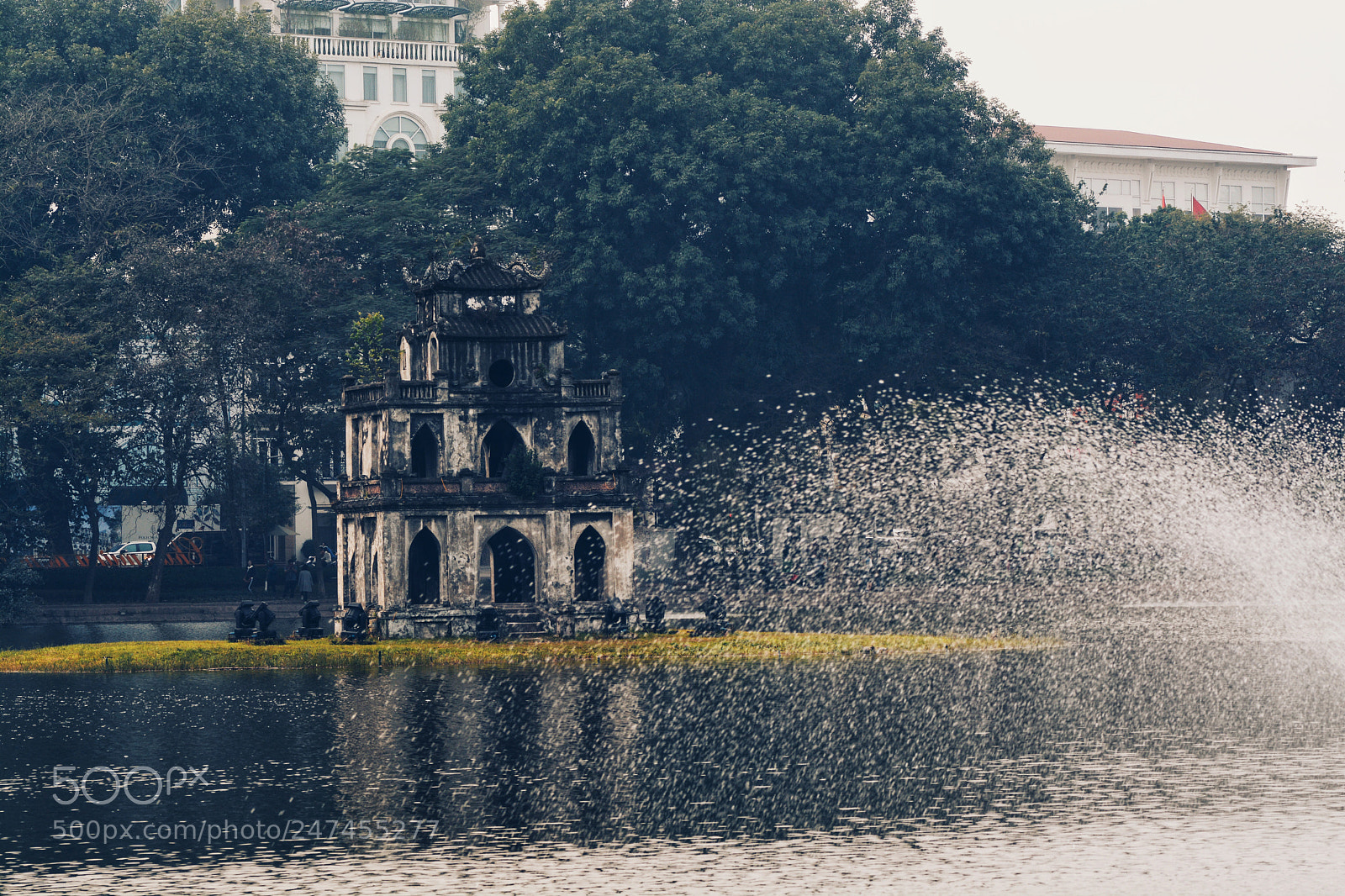 Nikon D7100 sample photo. Untitled photography