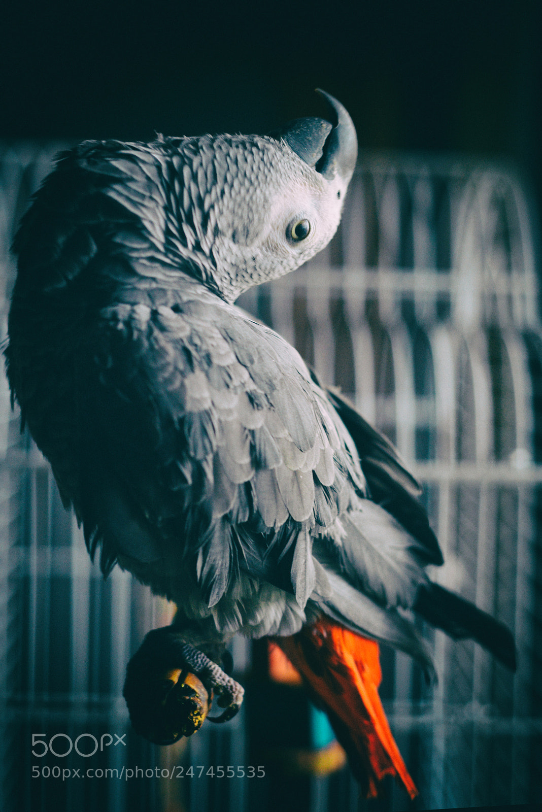 Nikon D800 sample photo. Untitled photography