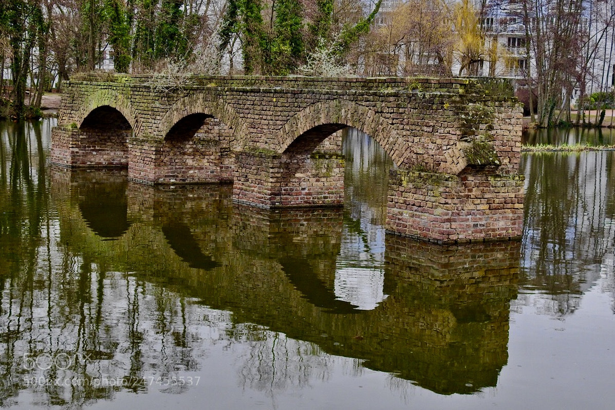 Nikon Coolpix P900 sample photo. Old viaduct bridge in photography