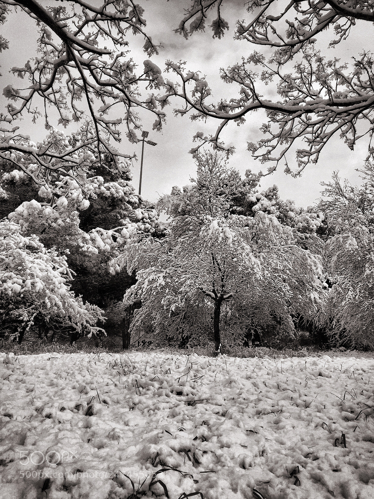Apple iPhone 6 Plus sample photo. Snow in rome, italy. photography