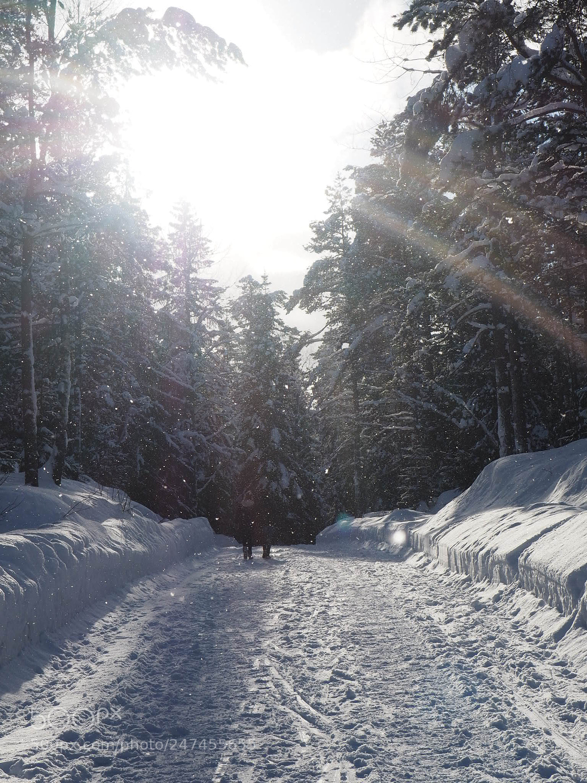 Olympus OM-D E-M5 II sample photo. Sparkling sunday photography