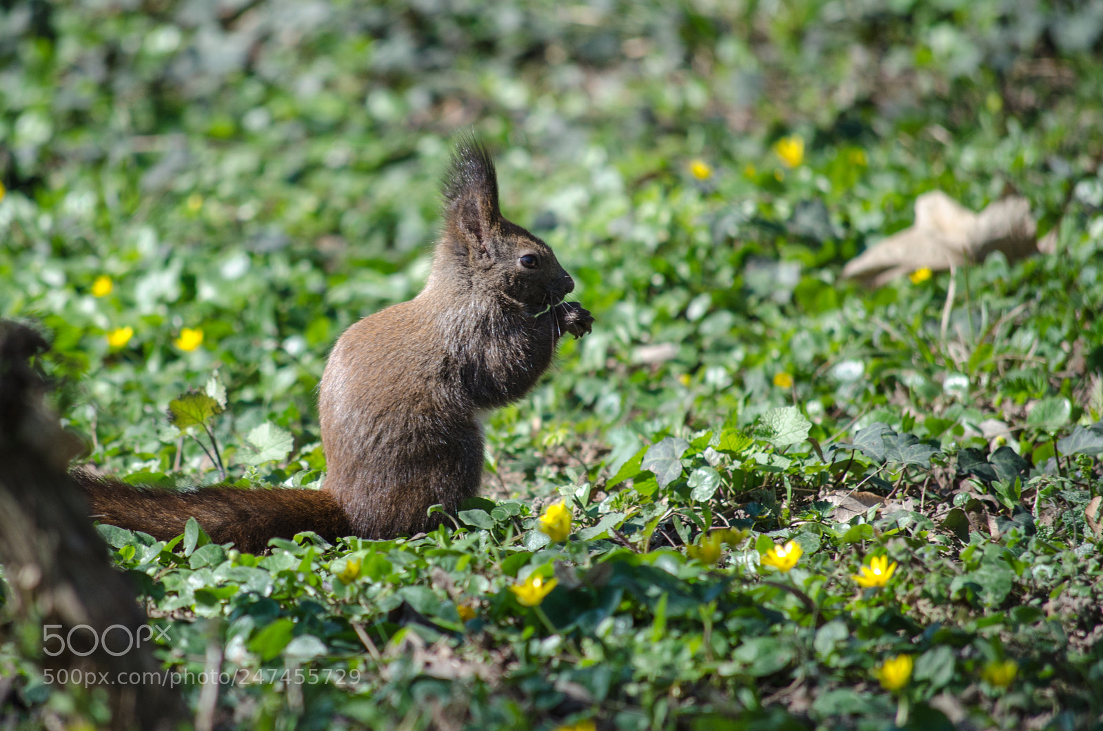 Nikon D5100 sample photo. Having lucnch in the photography