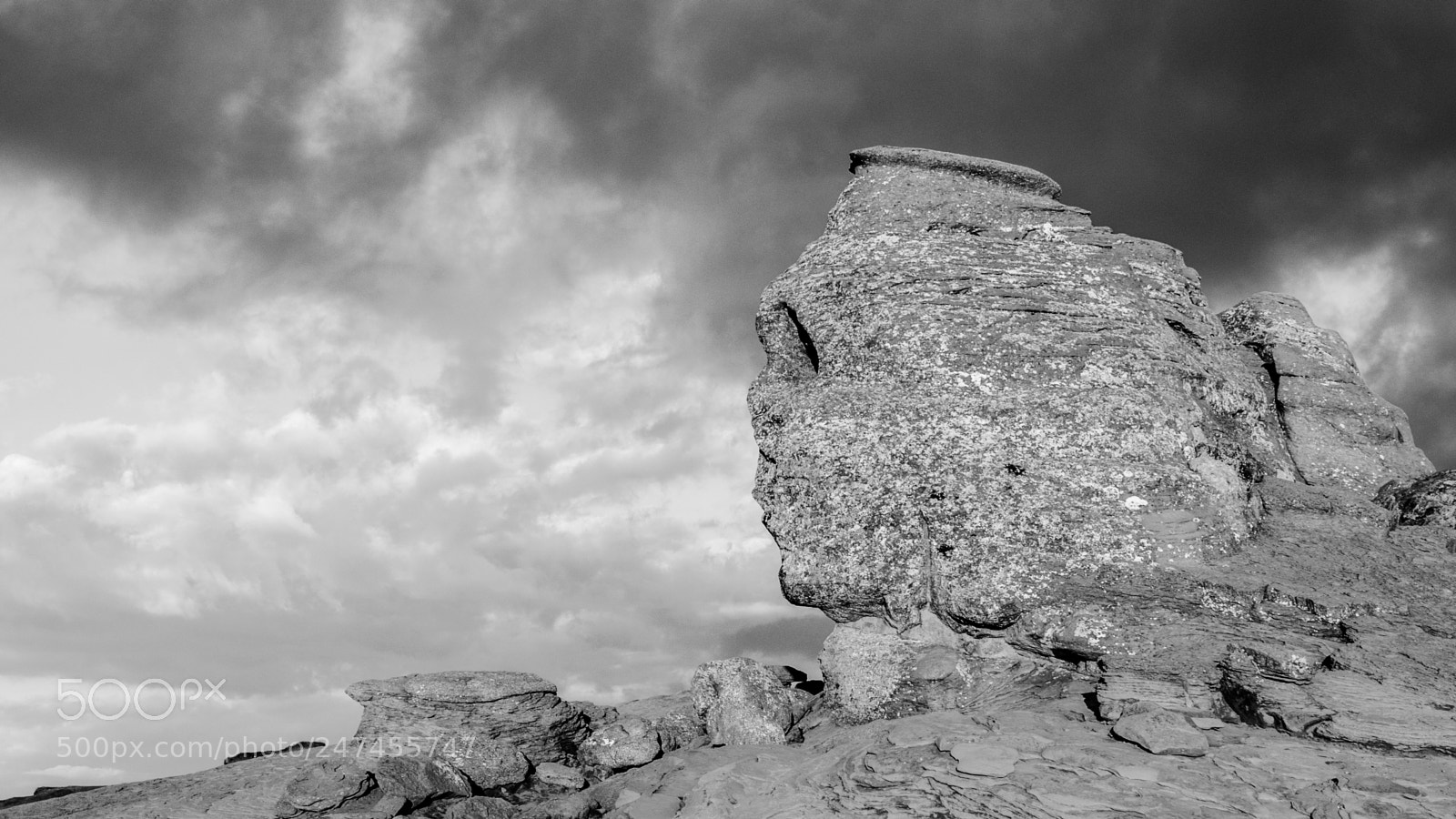 Nikon D5100 sample photo. The sphinx from bucegi photography