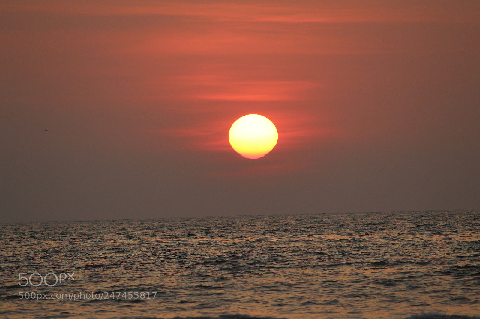 Canon EF-S 55-250mm F4-5.6 IS II sample photo. Sunset photography