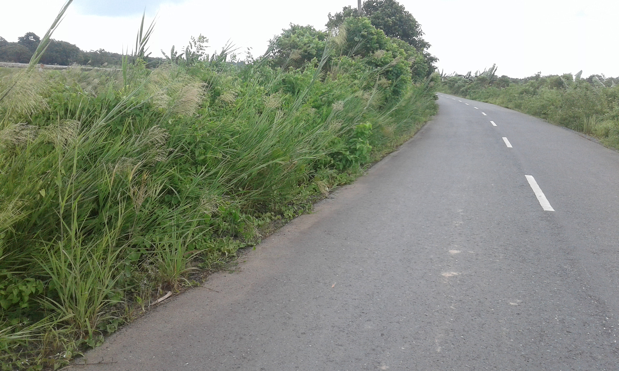 Samsung Galaxy J1 Ace sample photo. Nice road photography