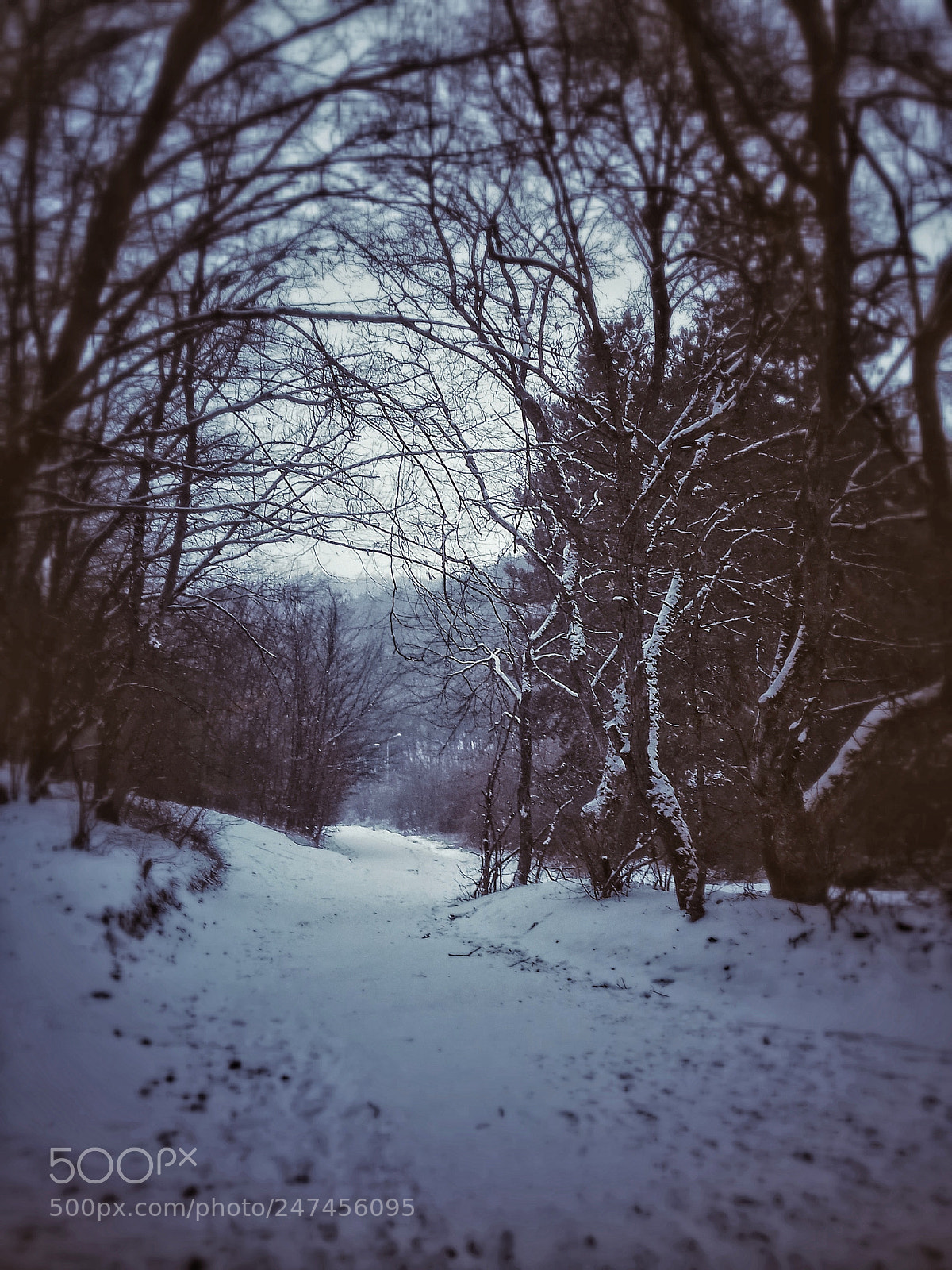 Samsung Galaxy J3(2016) sample photo. Cold photography
