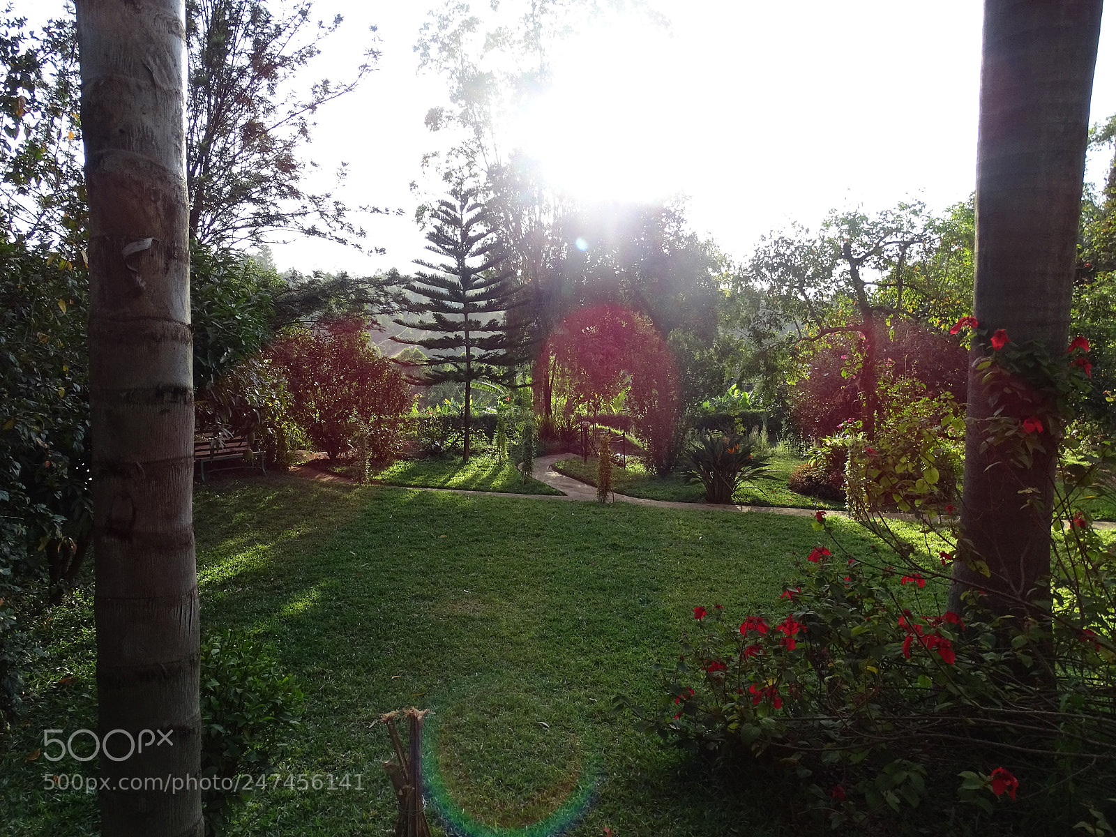 Sony Cyber-shot DSC-HX400V sample photo. Untitled photography