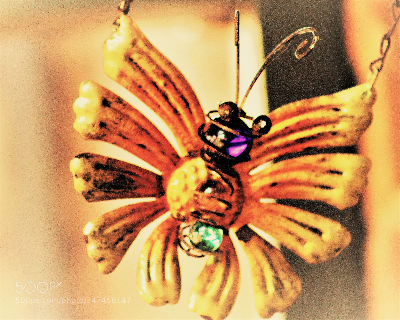 Canon EOS 700D (EOS Rebel T5i / EOS Kiss X7i) sample photo. Ornamental butterfly photography