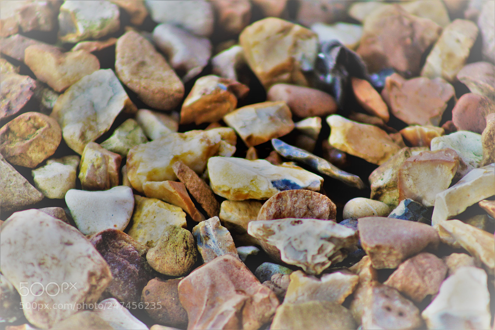 Canon EOS 700D (EOS Rebel T5i / EOS Kiss X7i) sample photo. Stoned photography
