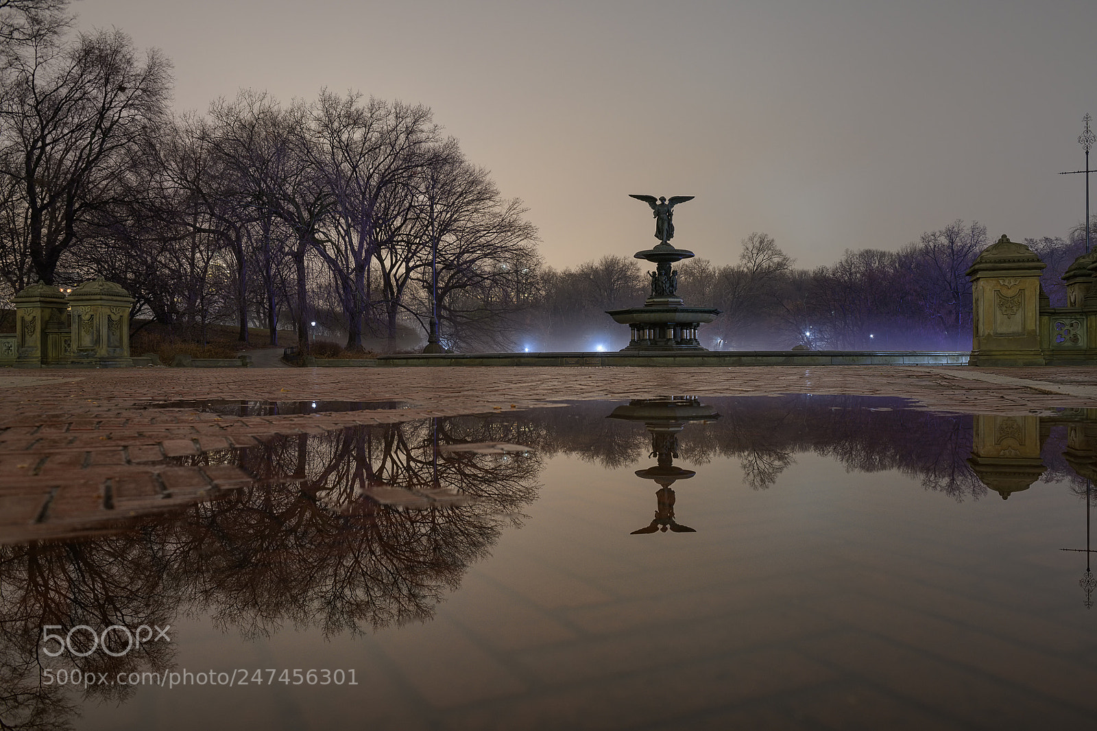 Nikon D850 sample photo. Heart of the park photography