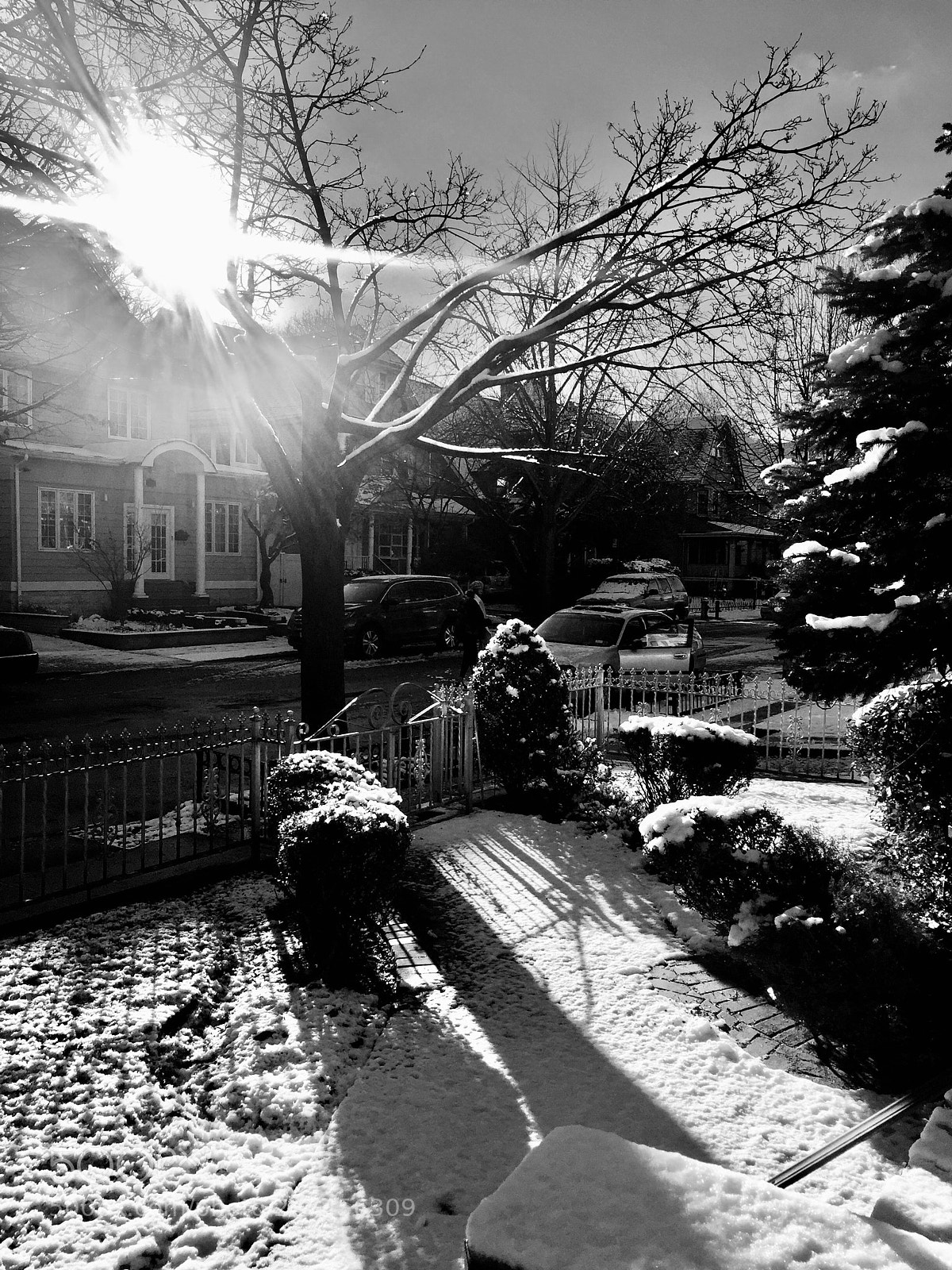 Apple iPhone 6 Plus sample photo. “black and white morning” photography