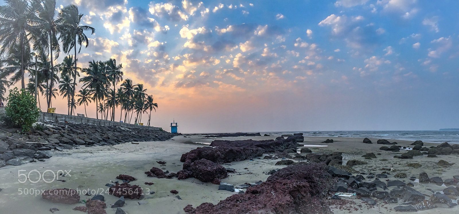 Apple iPhone 6 sample photo. Evening time wild view photography