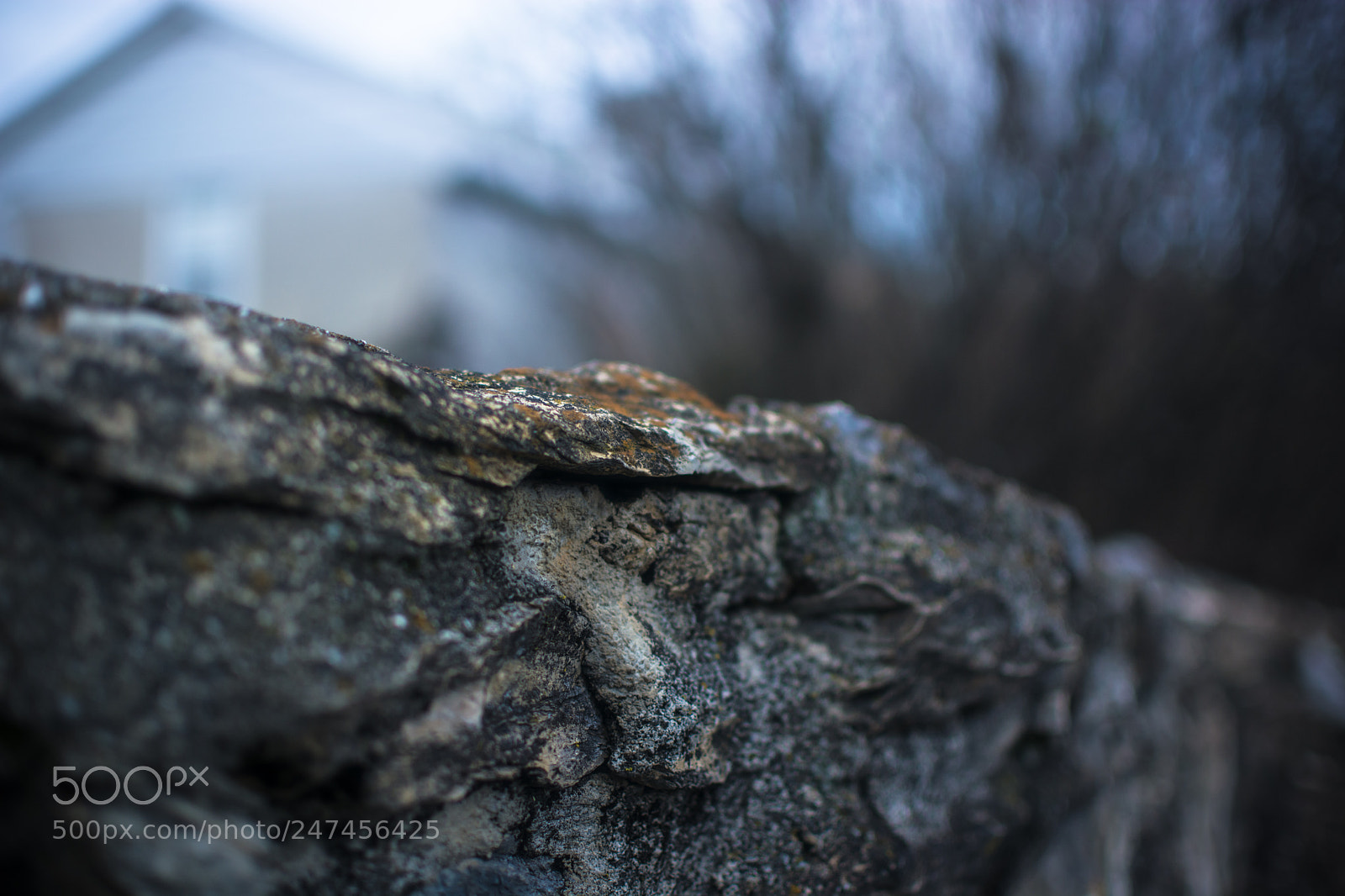 Nikon D5200 sample photo. Street wall photography