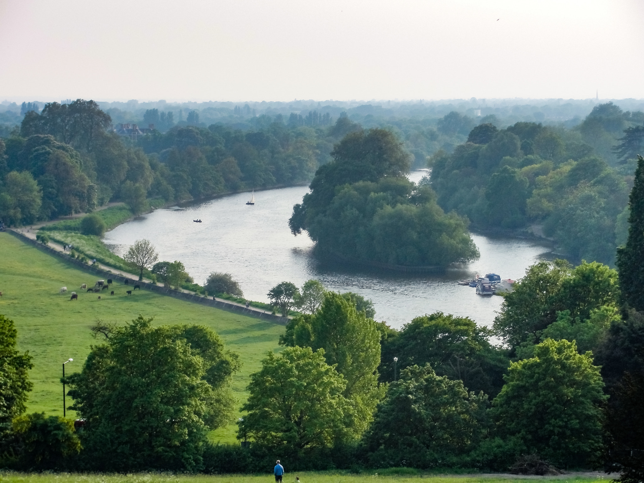 Sony Cyber-shot DSC-H20 sample photo. The river thames as seen from richmond hill london photography