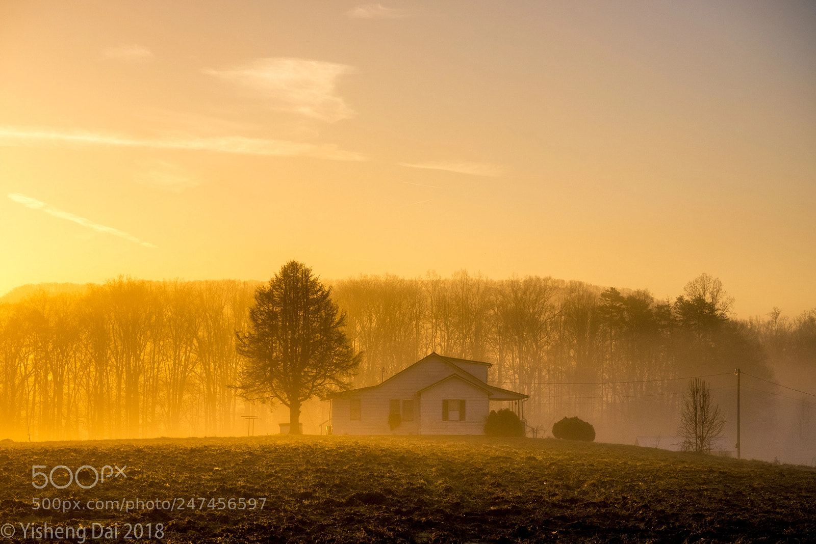 Olympus OM-D E-M1 sample photo. Foggy field in morning photography
