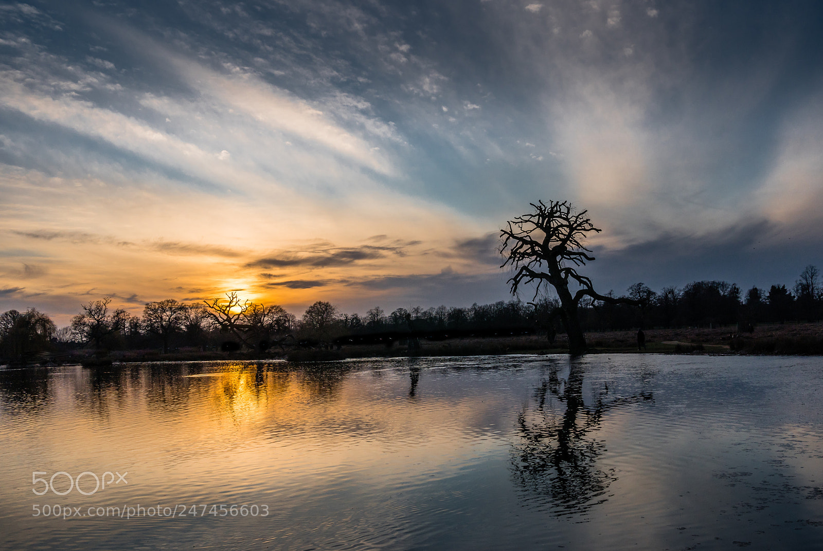 Sony a6500 sample photo. Sunset over bushy park photography