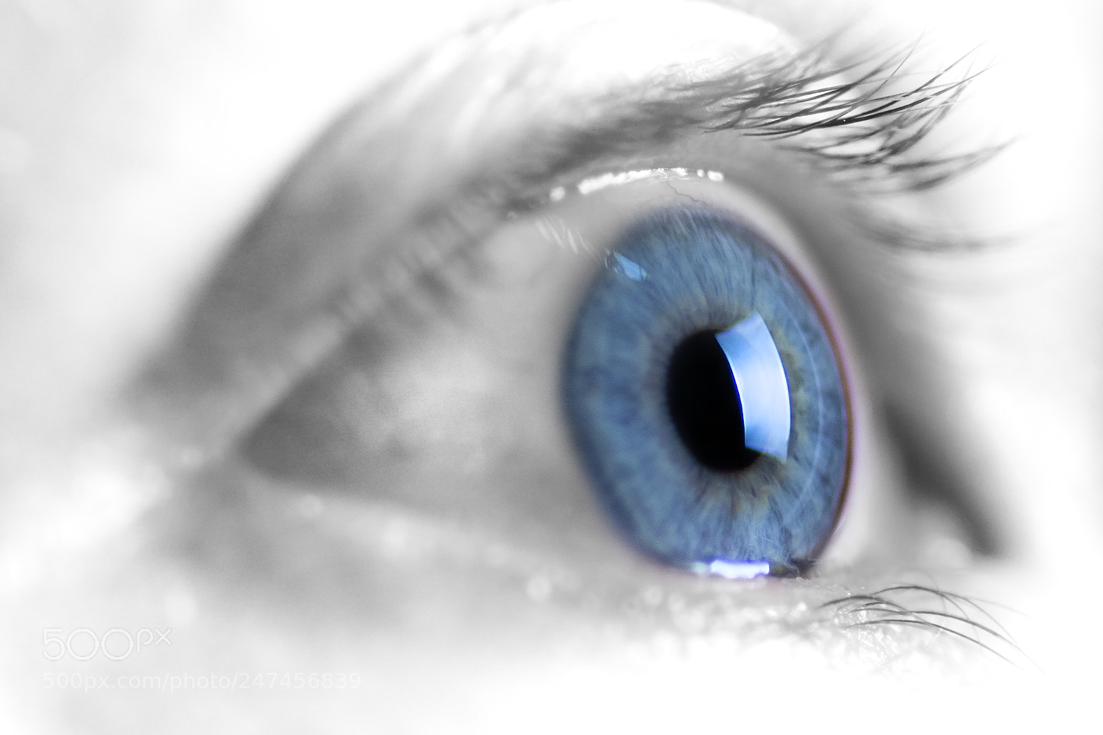 Nikon D7100 sample photo. K-eye photography