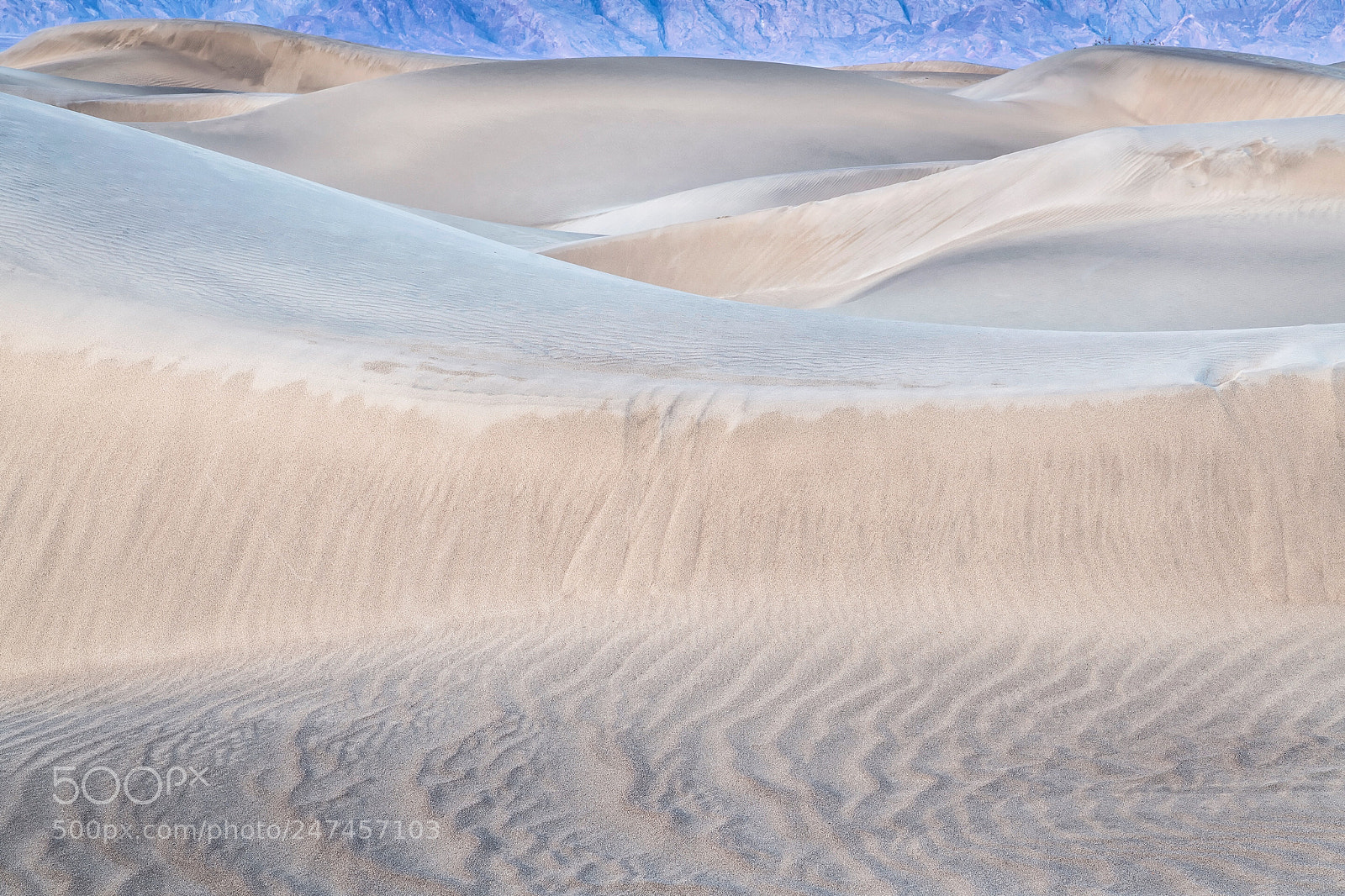 Nikon D850 sample photo. Pastel dunes, death valley photography