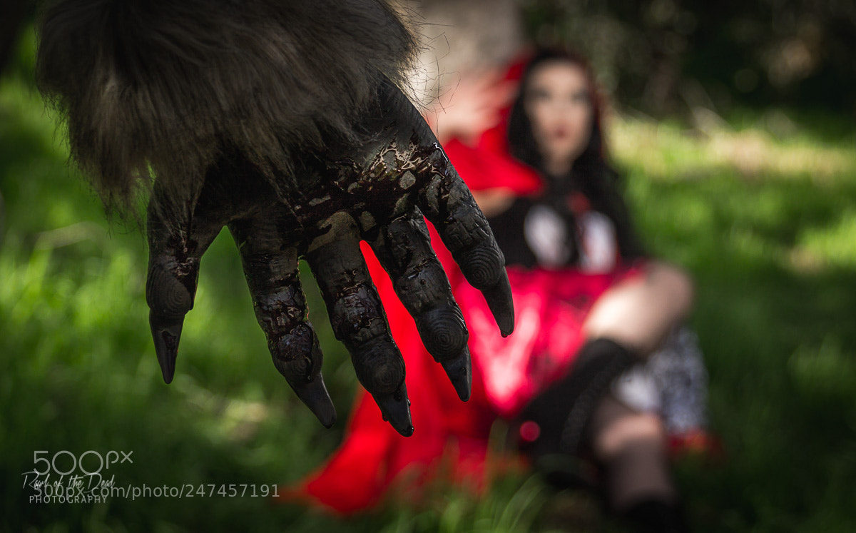 Canon EOS 1100D (EOS Rebel T3 / EOS Kiss X50) sample photo. Red riding hood photography