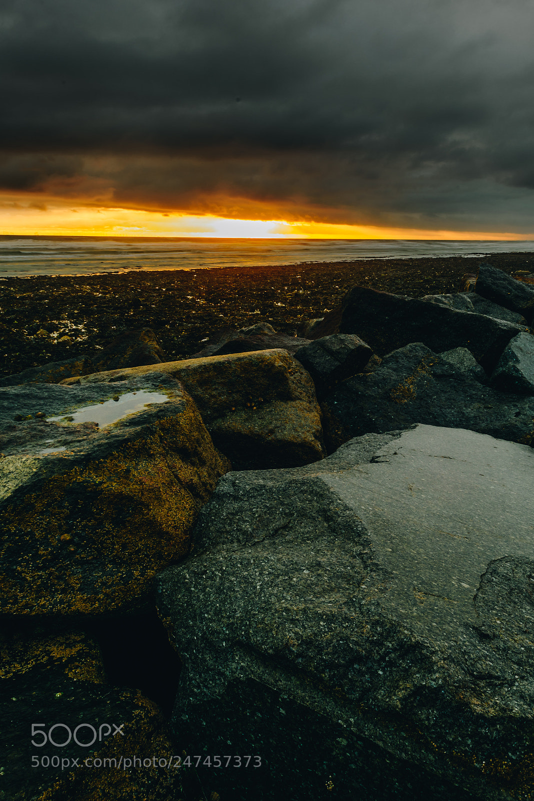 Nikon D810 sample photo. Gold sunset. photography