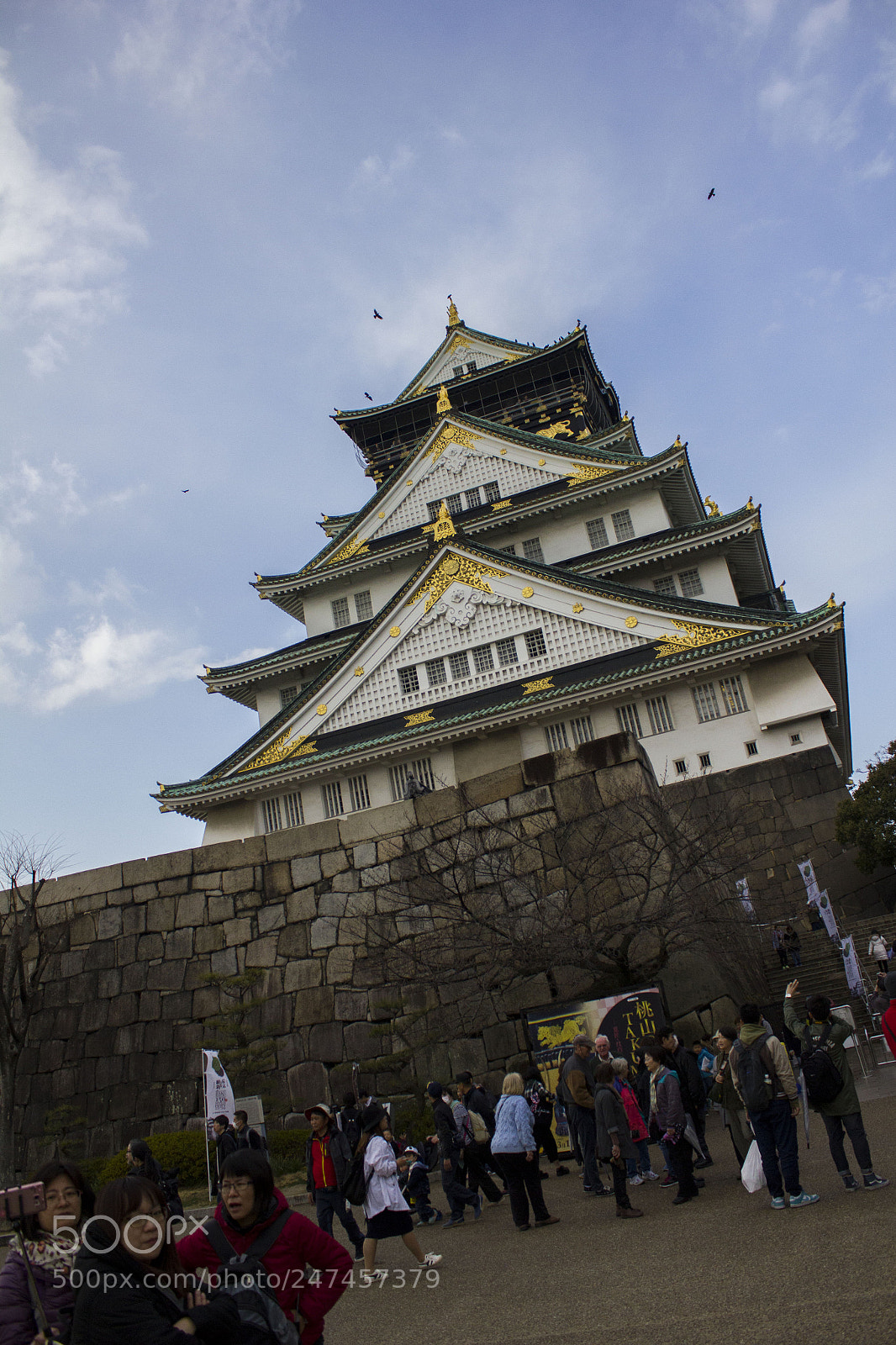Canon EOS 550D (EOS Rebel T2i / EOS Kiss X4) sample photo. Osaka castle photography