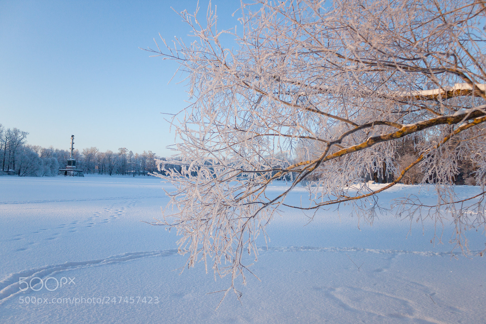 Canon EOS 500D (EOS Rebel T1i / EOS Kiss X3) sample photo. Winter photography