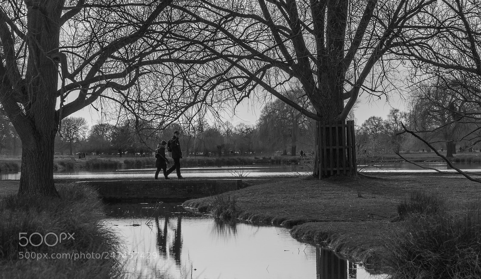 Sony a6500 sample photo. Having a stroll photography