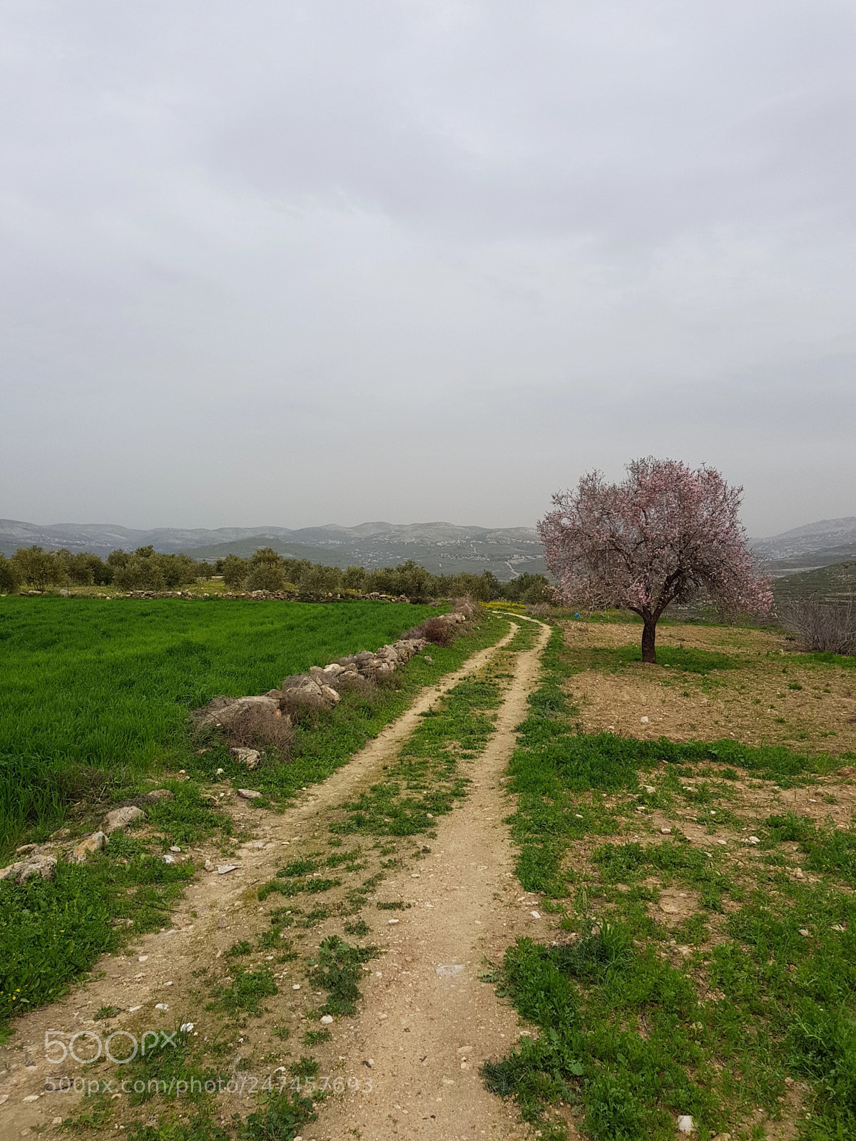 Samsung Galaxy S8 sample photo. Lonely road photography