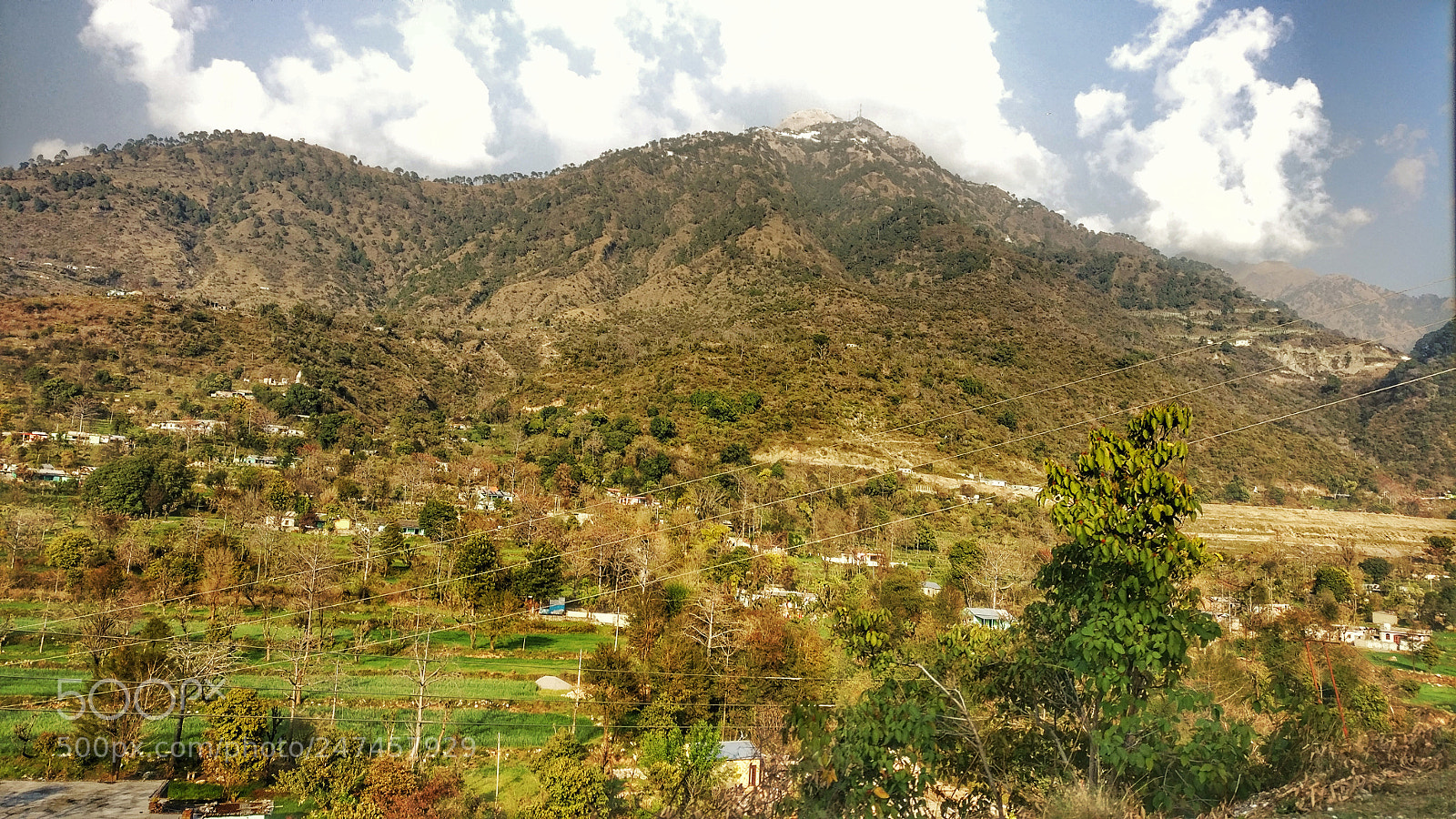 OnePlus A3003 sample photo. Untitled photography