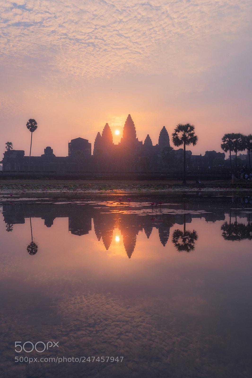 Nikon D850 sample photo. Angkor wat? photography