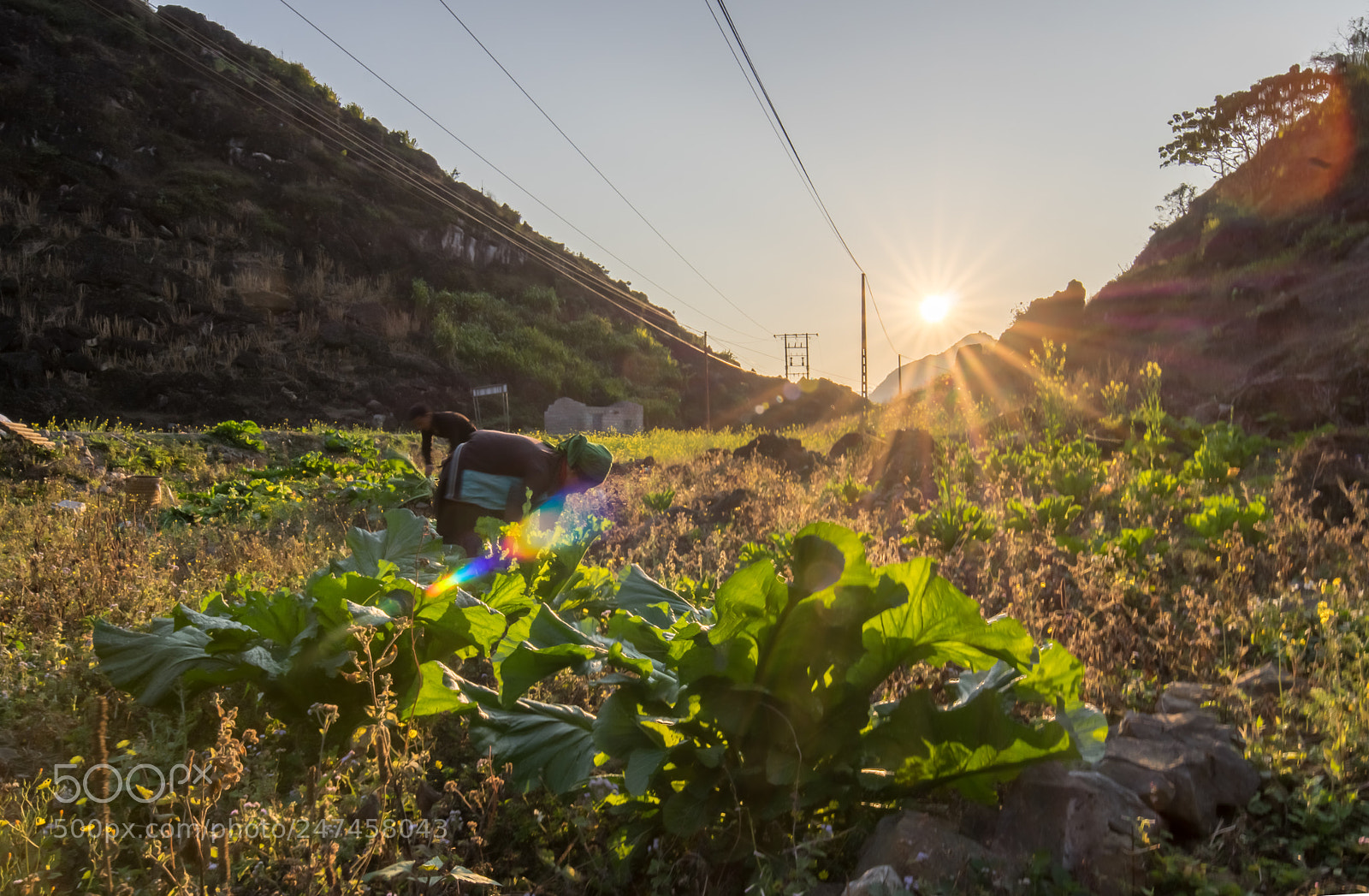 Pentax K-3 sample photo. Ha giang's life photography