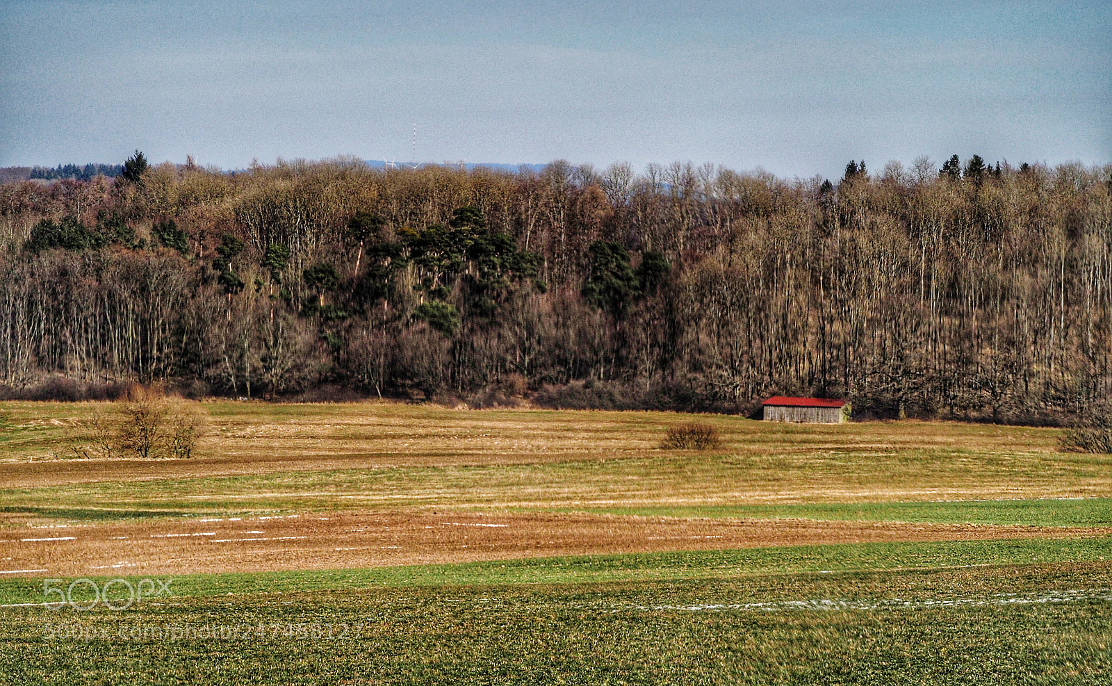 Olympus OM-D E-M1 Mark II sample photo. Untitled photography
