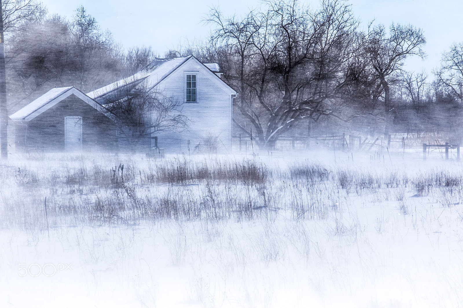 Canon EOS 7D Mark II sample photo. Give me shelter photography