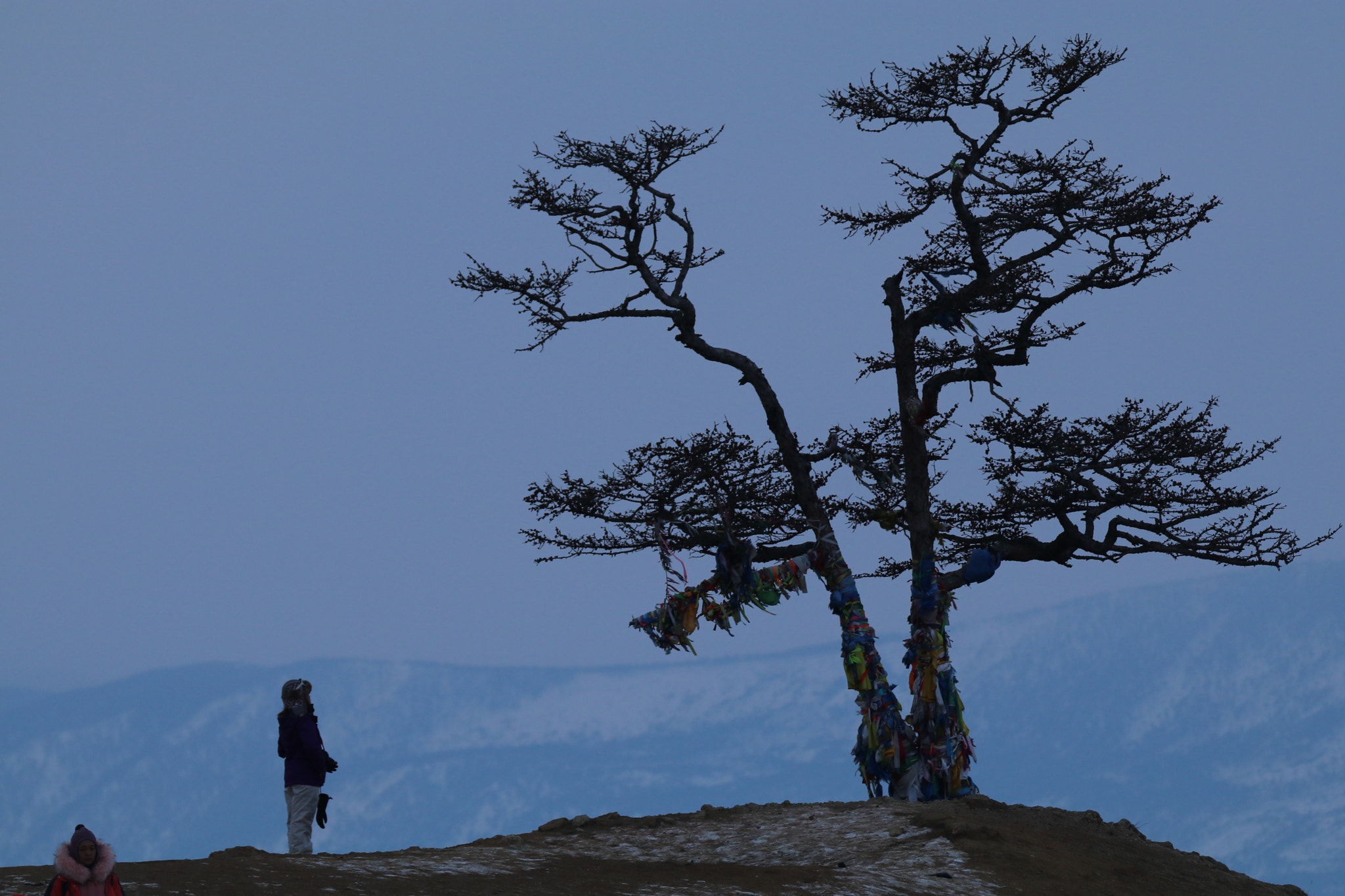 Tamron SP 150-600mm F5-6.3 Di VC USD sample photo. 虔诚的祈祷a pious prayer photography